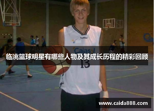 临洮篮球明星有哪些人物及其成长历程的精彩回顾