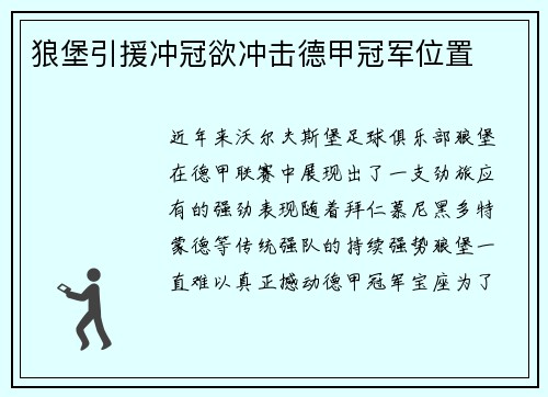 狼堡引援冲冠欲冲击德甲冠军位置